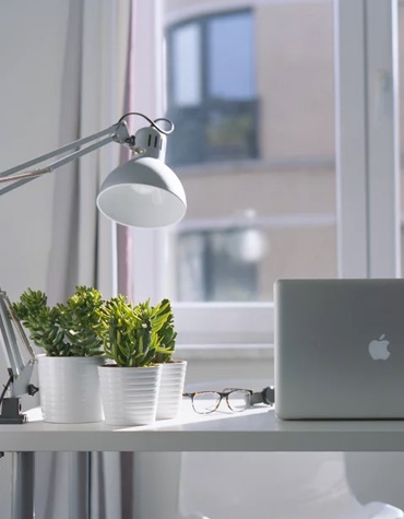 a view of a white desk with a laptop, three green plants and a lamp with the window in the background