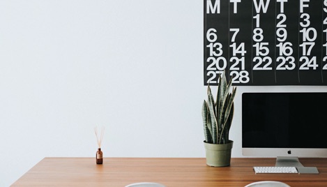 a small cactus on a desk to the left of a monitor and black and white number calendar on a white wall